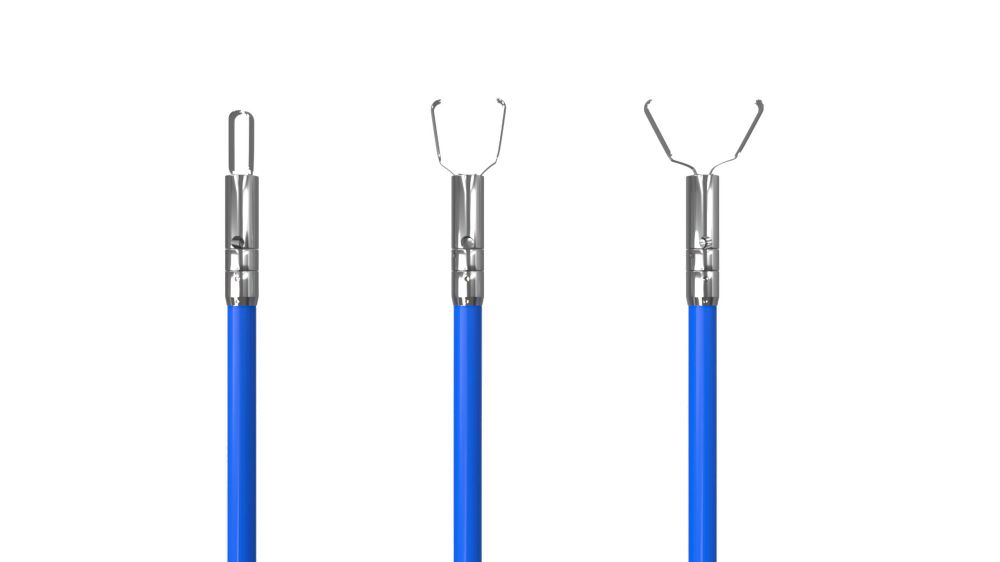 giấy chứng nhận