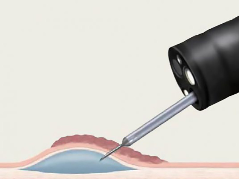 giấy chứng nhận