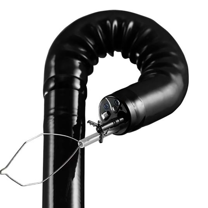 giấy chứng nhận